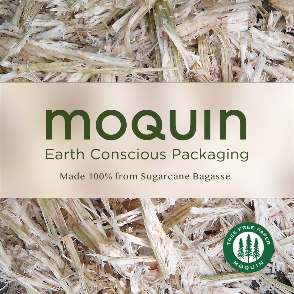 Sugarcane Bagasse Packaging